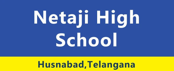 netaji high school