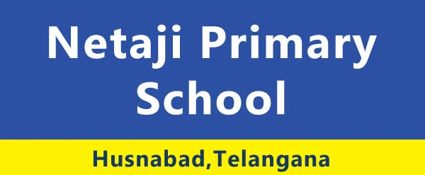 netaji primary school